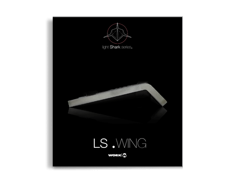 LS-WING 2020